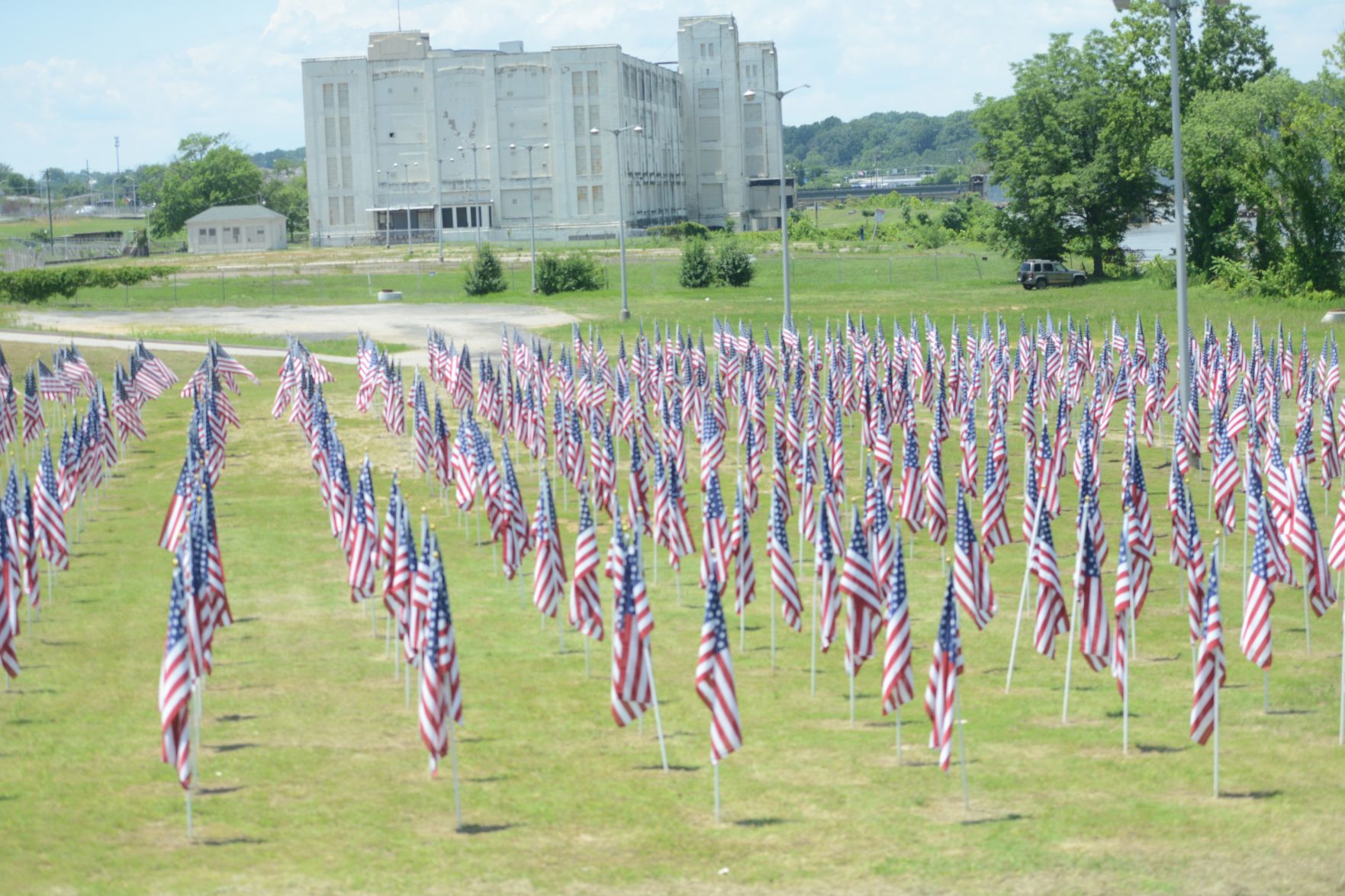 Flags 3.jpg
